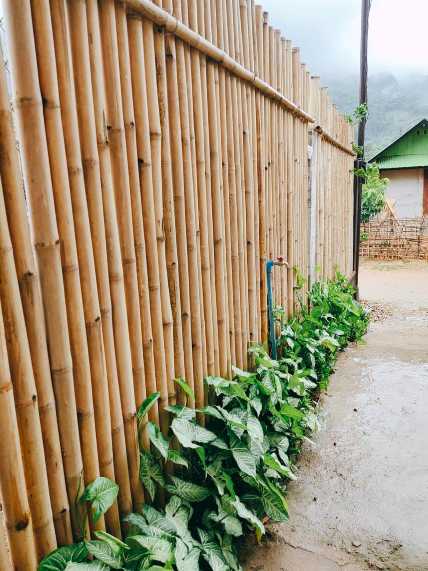 Meexok Guesthouse Nongkhiaw Eksteriør billede