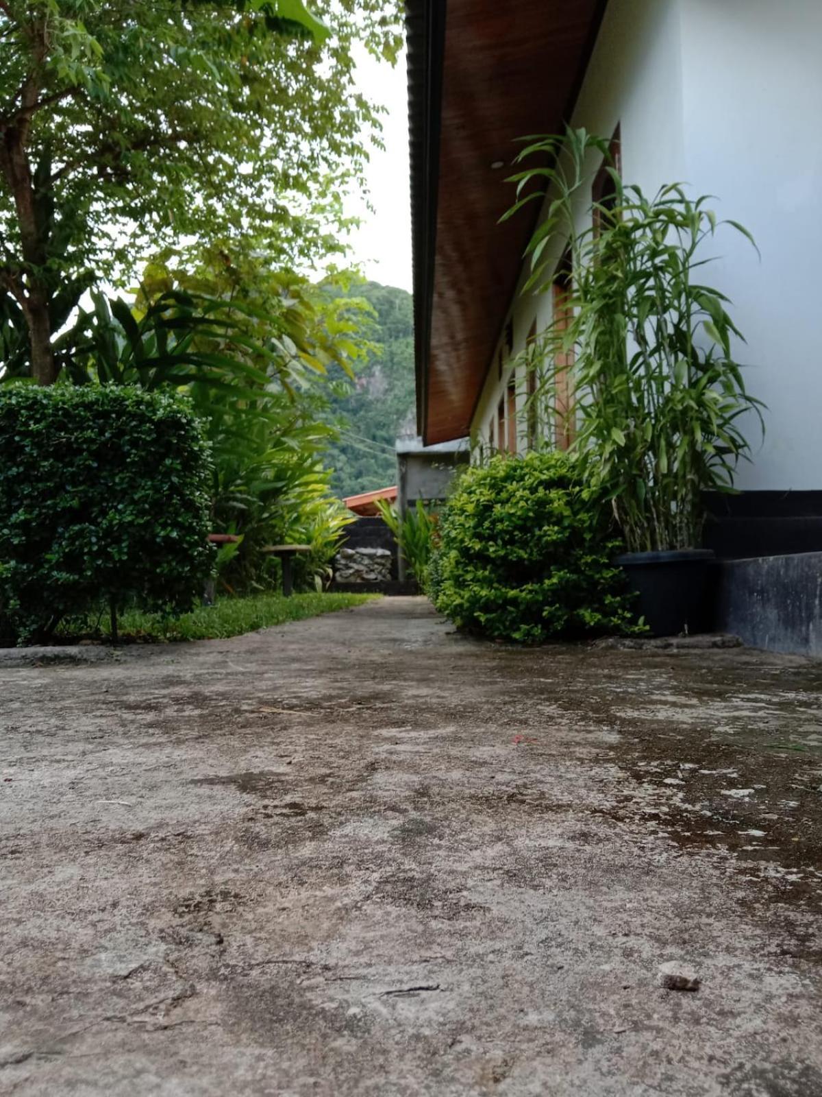 Meexok Guesthouse Nongkhiaw Eksteriør billede